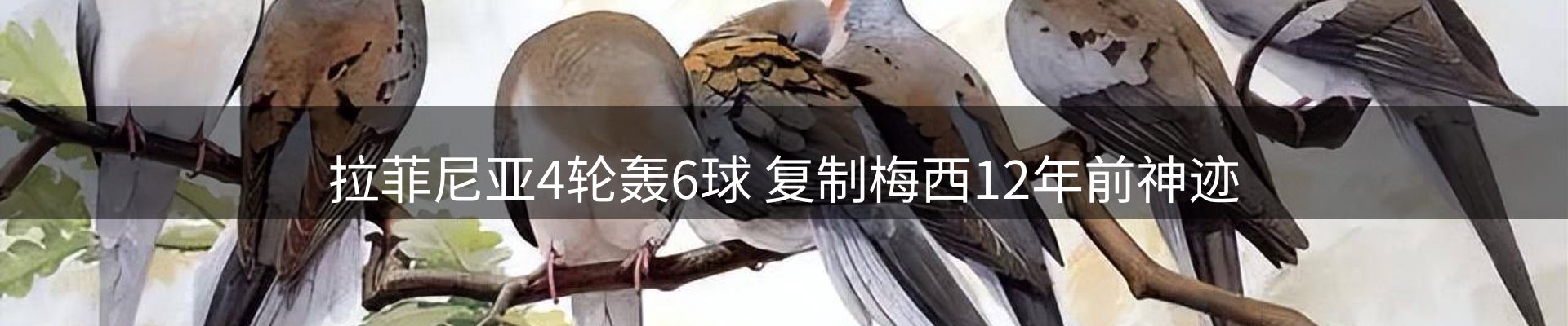 动态中心